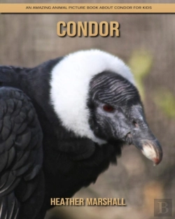 Bertrand.pt - Condor