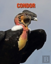 Condor