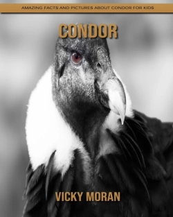 Bertrand.pt - Condor