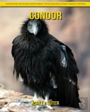 Condor