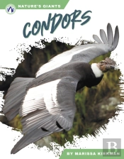 Condors