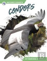 Condors