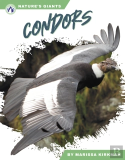 Bertrand.pt - Condors
