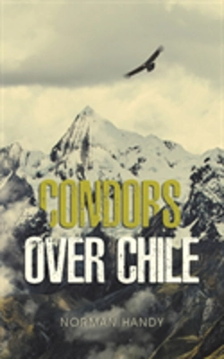 Bertrand.pt - Condors Over Chile