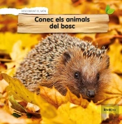 Conec Els Animals Del Bosc