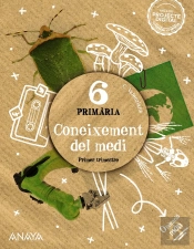 Coneixement Del Medi 6ºEp Valencia Operac.Mundo 23