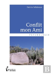 Conflit Mon Ami