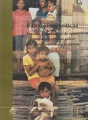 Confronting Crisis A Summary Of Household Respo