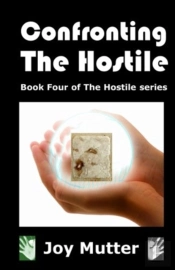 Confronting The Hostile