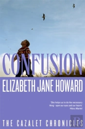 Confusion