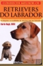 Conhecer Melhor os Retrievers do Labrador