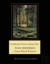 Coniferous Forest, Sunny Day