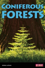 Coniferous Forests