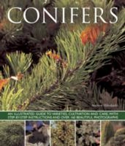Bertrand.pt - Conifers