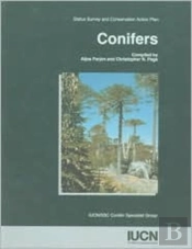 Conifers