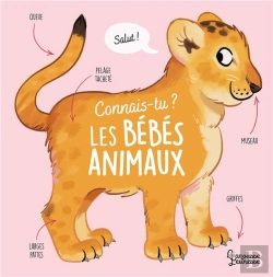 Bertrand.pt - Connais-Tu Les Bébés Animaux ?