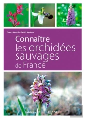 Connaitre Les Orchidées Sauvages De France