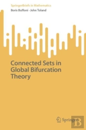 Connected Sets In Global Bifurcation Theory