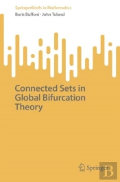 Connected Sets In Global Bifurcation Theory
