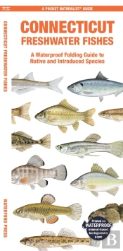 Connecticut Freshwater Fishes