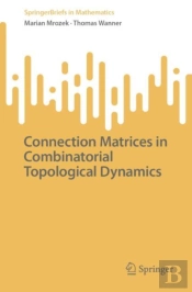 Connection Matrices In Combinatorial Topological Dynamics