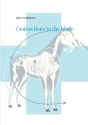Connections In The Horse