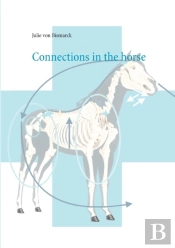 Connections In The Horse
