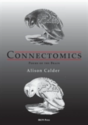 Connectonomics
