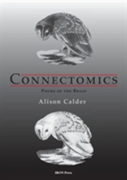 Bertrand.pt - Connectonomics