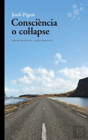 Consciencia O Collapse