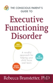 Conscious Parents Guide To Executive Fun