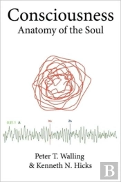 Consciousness: Anatomy Of The Soul