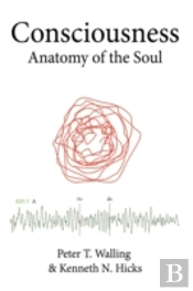 Consciousness: Anatomy Of The Soul