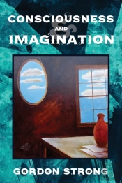 Consciousness And Imagination