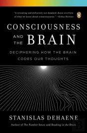 Consciousness And The Brain