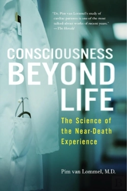 Bertrand.pt - Consciousness Beyond Life