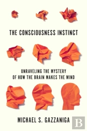 Consciousness Instinct