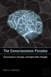 Consciousness Paradox