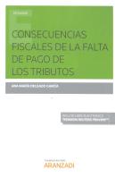 Consecuencias Fiscales De La Falta De Pago De Los Tributos (Papel + E-Book)