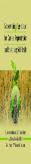 Conservation Agriculture For Carbon Sequestration And Sustaining Soil Health
