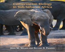 Conservation Biology In Sub-Saharan Africa