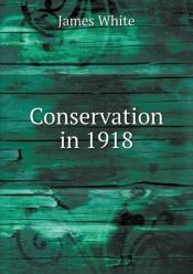 Conservation In 1918