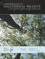 Conservation Of California Walnut In The Eastern Santa Monica Mountains