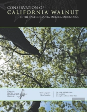 Conservation Of California Walnut In The Eastern Santa Monica Mountains