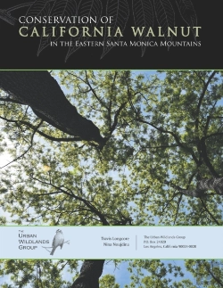 Bertrand.pt - Conservation Of California Walnut In The Eastern Santa Monica Mountains