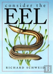 Consider The Eel