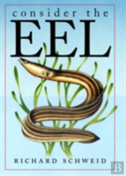 Bertrand.pt - Consider The Eel