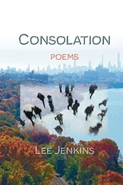 Consolation  Poems