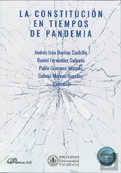Constitucion En Tiempos De Pandemia,La