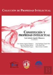 Constitución Y Propiedad Intelectual
